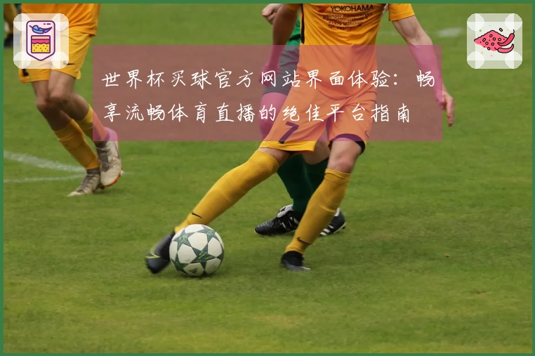 世界杯买球官方网站界面体验：畅享流畅体育直播的绝佳平台指南