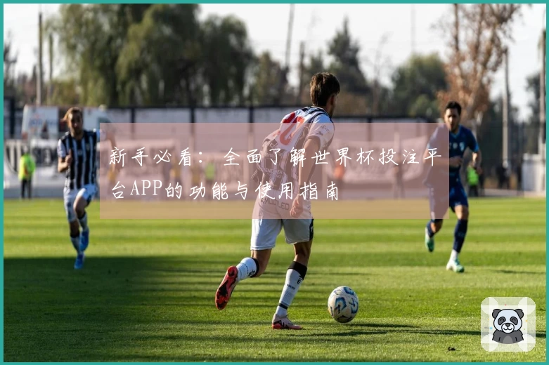 新手必看：全面了解世界杯投注平台APP的功能与使用指南