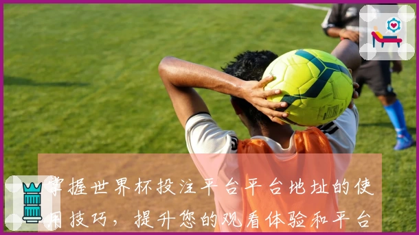 掌握世界杯投注平台平台地址的使用技巧，提升您的观看体验和平台操作能力