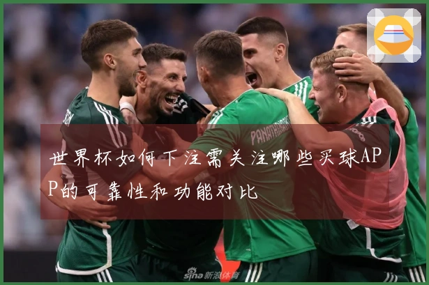 世界杯如何下注需关注哪些买球APP的可靠性和功能对比