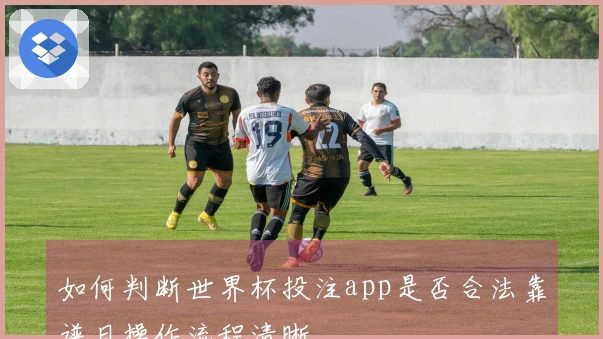 如何判断世界杯投注app是否合法靠谱且操作流程清晰