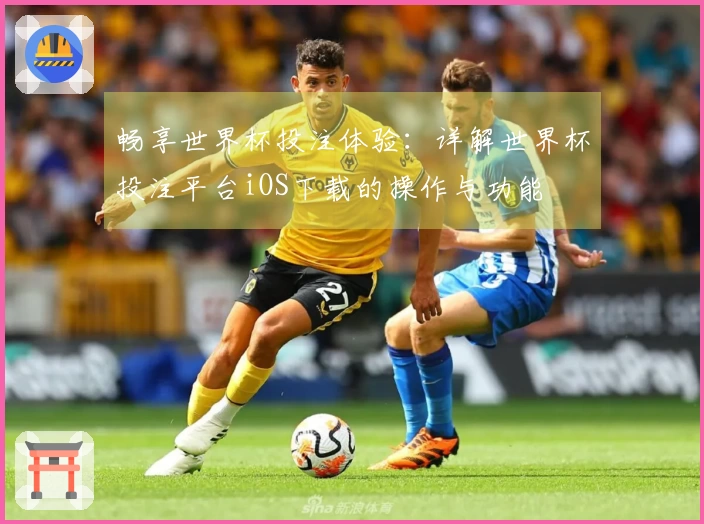 畅享世界杯投注体验：详解世界杯投注平台iOS下载的操作与功能