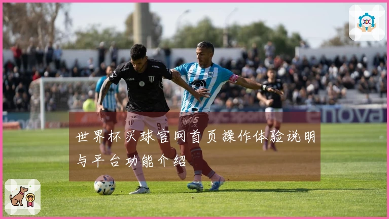 世界杯买球官网首页操作体验说明与平台功能介绍
