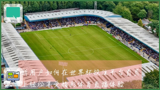 新用户如何在世界杯投注平台首页上轻松享受精彩体育直播体验