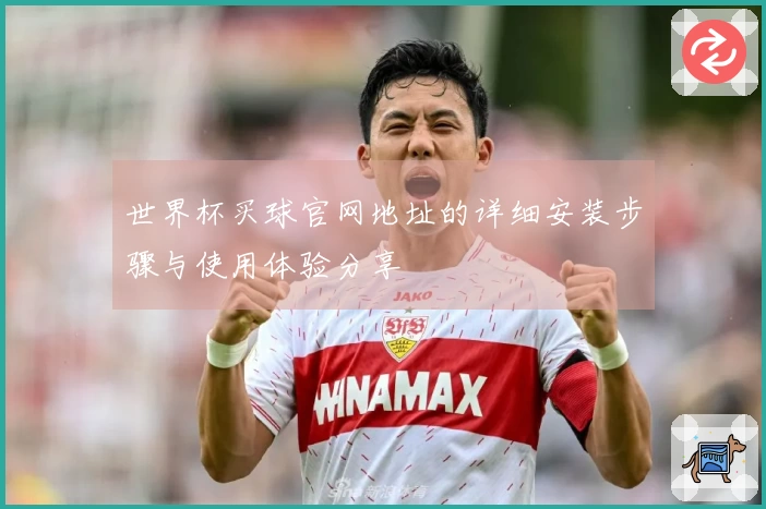 世界杯买球官网地址的详细安装步骤与使用体验分享