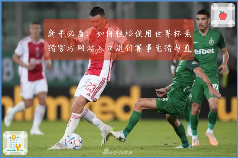 新手必看：如何轻松使用世界杯竞猜官方网站入口进行赛事竞猜与直播体验