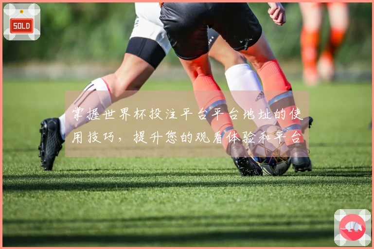 掌握世界杯投注平台平台地址的使用技巧，提升您的观看体验和平台操作能力