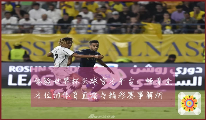 体验世界杯买球官方平台，畅享全方位的体育直播与精彩赛事解析