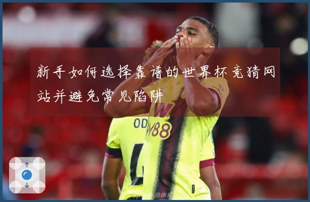 新手如何选择靠谱的世界杯竞猜网站并避免常见陷阱