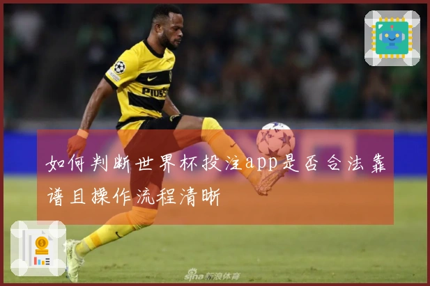 如何判断世界杯投注app是否合法靠谱且操作流程清晰