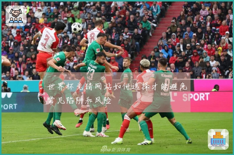 世界杯竞猜网站如何选择才能避免常见陷阱和风险