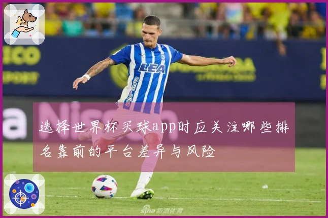 选择世界杯买球app时应关注哪些排名靠前的平台差异与风险