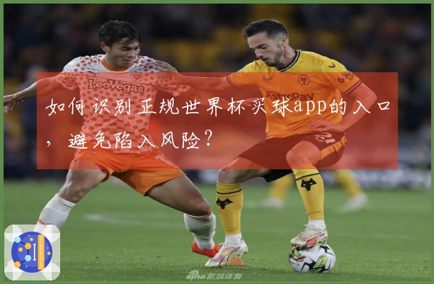 如何识别正规世界杯买球app的入口，避免陷入风险？